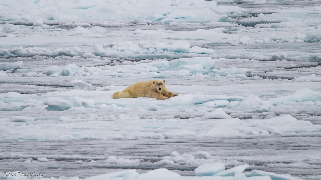OTL06-25, Day 4, IMG_9780 © Koen Jongerling - Oceanwide Expeditions.jpg