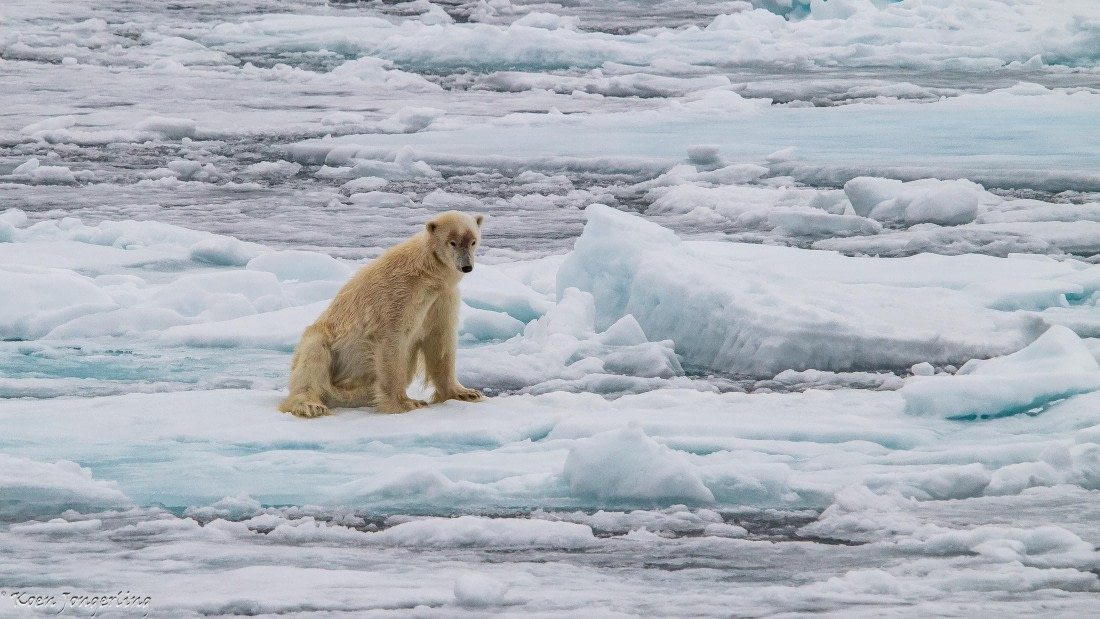 OTL06-25, Day 4, IMG_9790 © Koen Jongerling - Oceanwide Expeditions.jpg