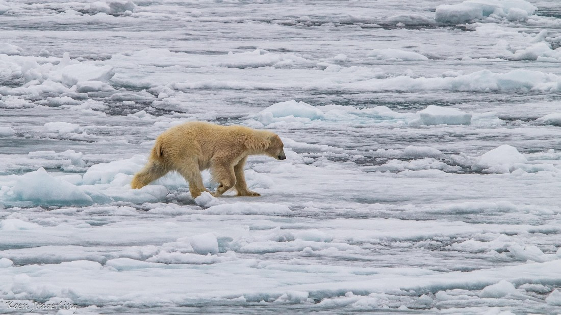 OTL06-25, Day 4, IMG_9800 © Koen Jongerling - Oceanwide Expeditions.jpg