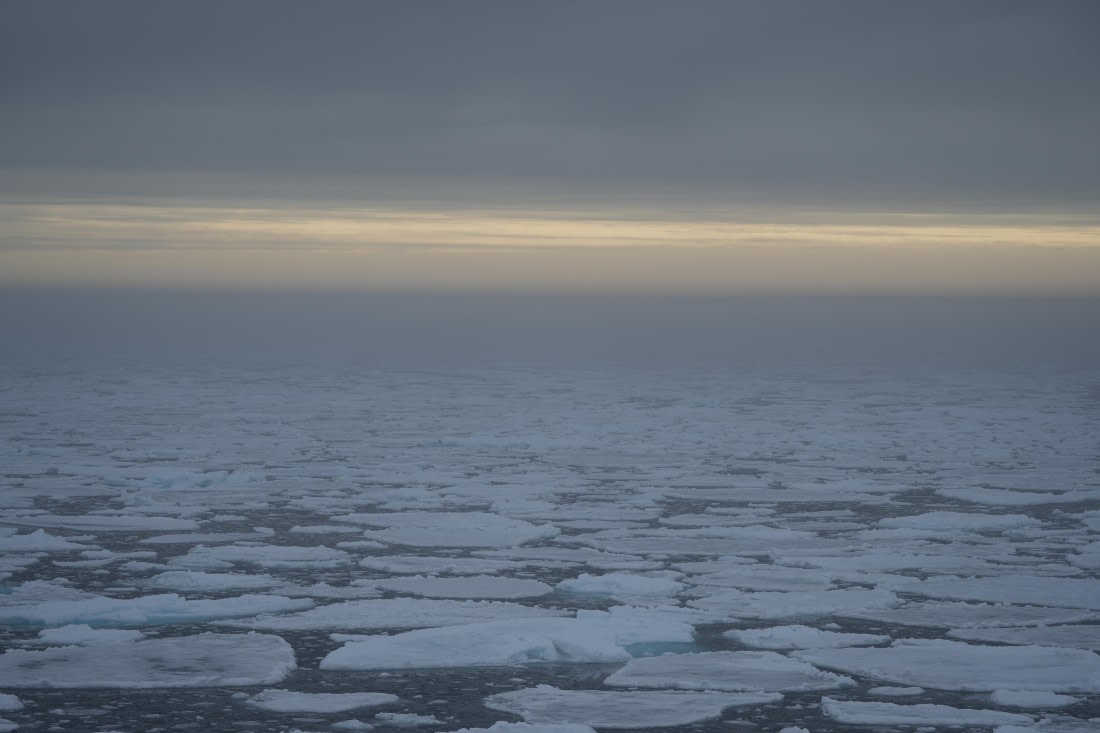 OTL06-25, Day 4, Pack ice early morning © Unknown photographer - Oceanwide Expeditions.JPG