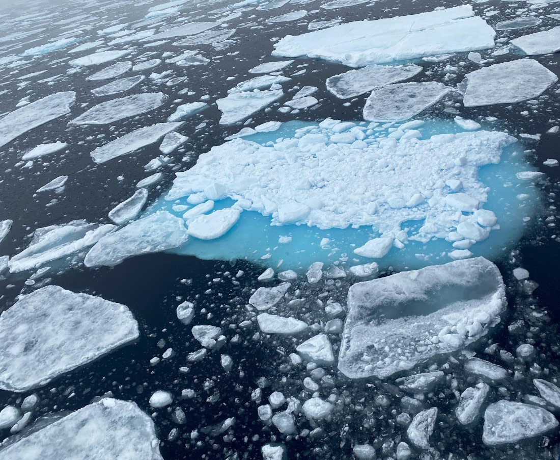 OTL06-25, Day 4, Pack ice1 © Unknown photographer - Oceanwide Expeditions.JPG