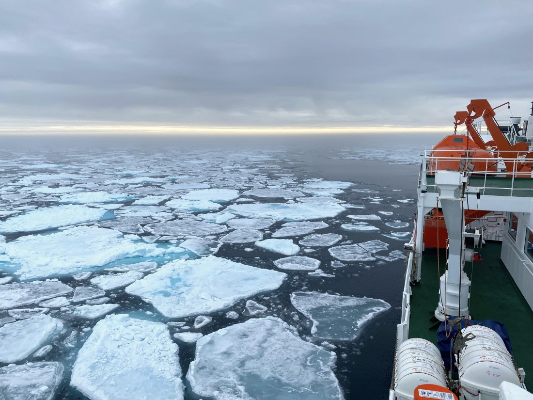 OTL06-25, Day 4, Pack ice2 © Unknown photographer - Oceanwide Expeditions.JPG