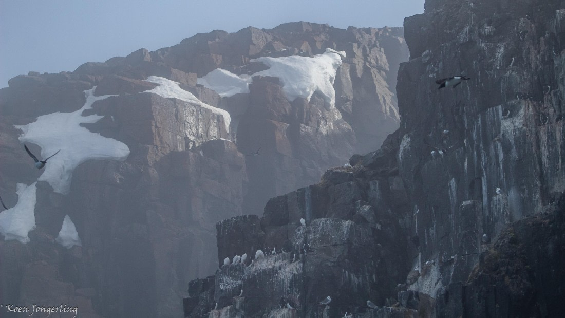 OTL06-25, Day 5, IMG_9830 © Koen Jongerling - Oceanwide Expeditions.jpg