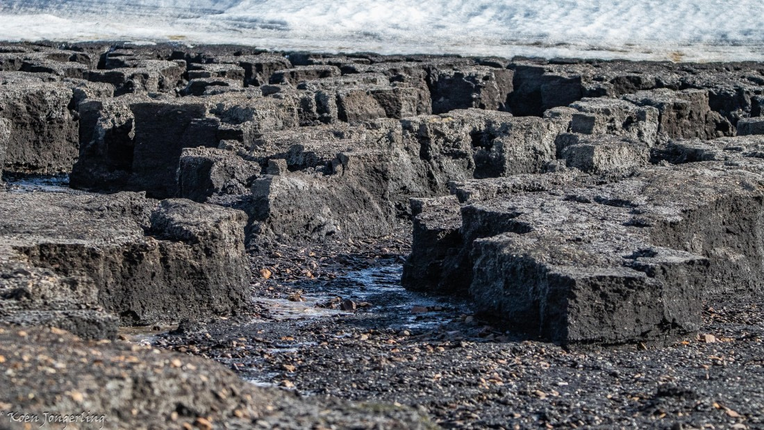 OTL06-25, Day 6, IMG_9877 © Koen Jongerling - Oceanwide Expeditions.jpg