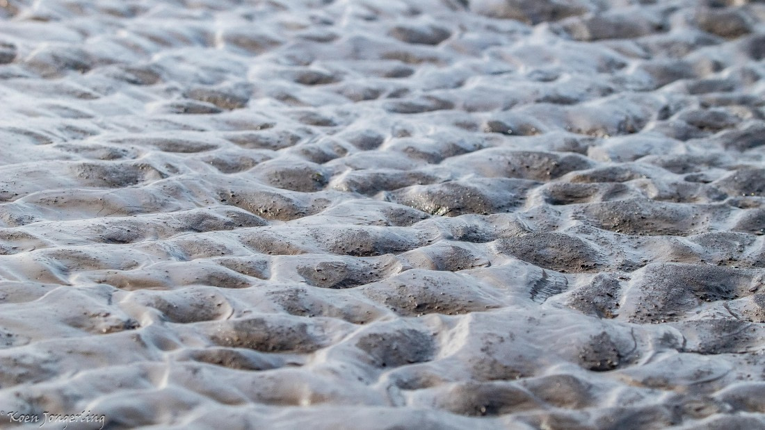 OTL06-25, Day 6, IMG_9902 © Koen Jongerling - Oceanwide Expeditions.jpg