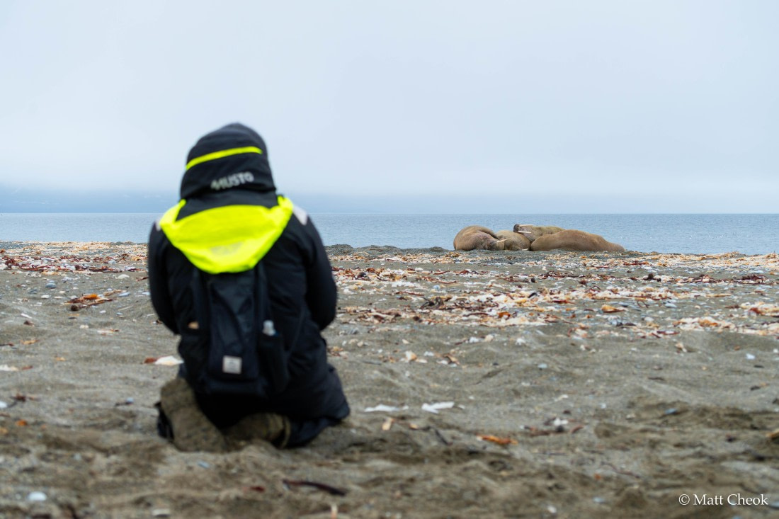 OTL06-25, Day 9, Matt Cheok - Day 9, Poolepynten, Alkhornet-3 © Matt Cheok - Oceanwide Expeditions.jpg