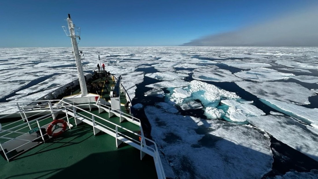 PLA07-25, Day 5, Pack ice (3) © Unknown photographer - Oceanwide Expeditions.jpg