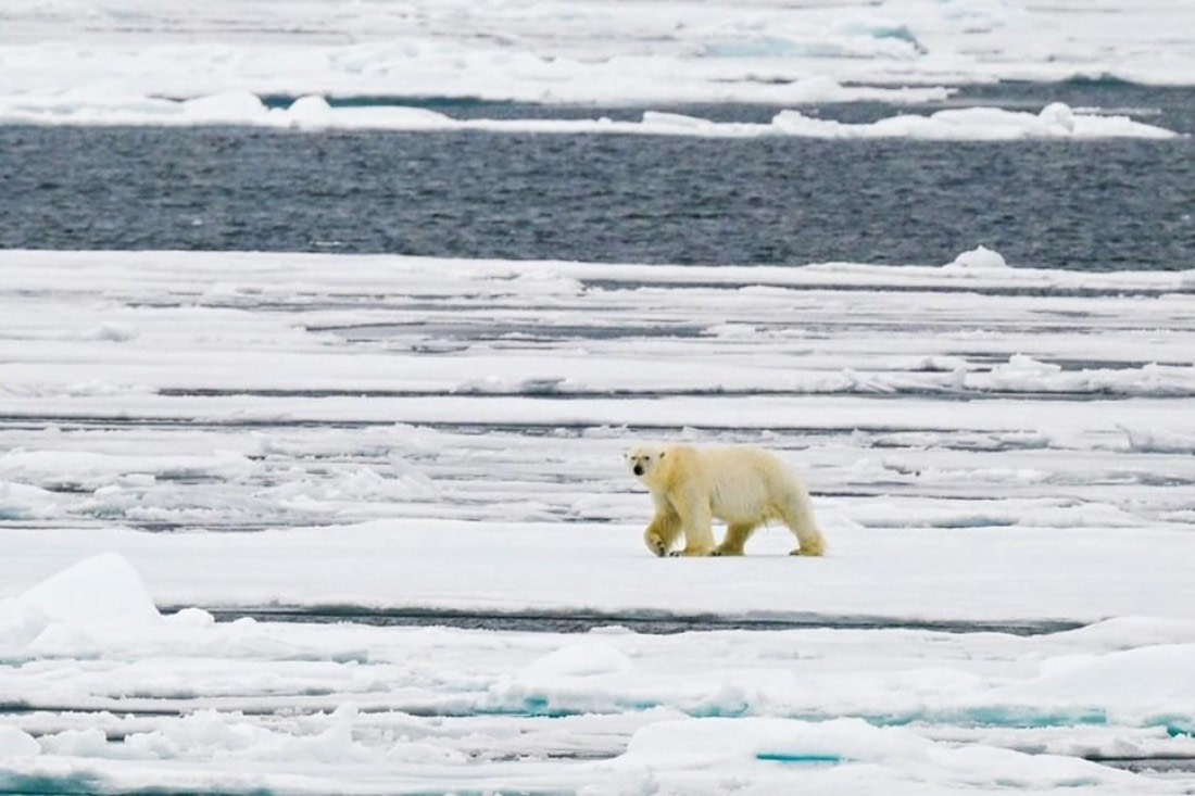 OTL07-25, Day 4, Picture7 © Unknown photographer - Oceanwide Expeditions.jpg