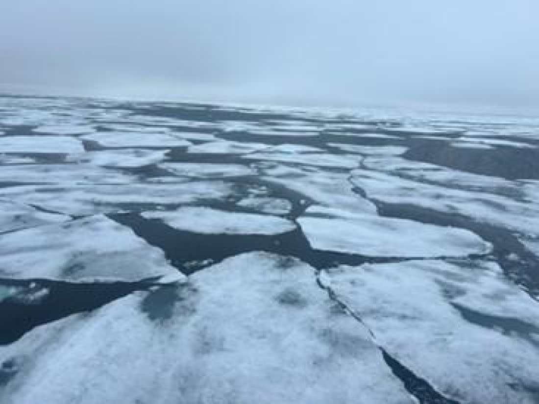 OTL07-25, Day 4, Picture10 © Unknown photographer - Oceanwide Expeditions.jpg