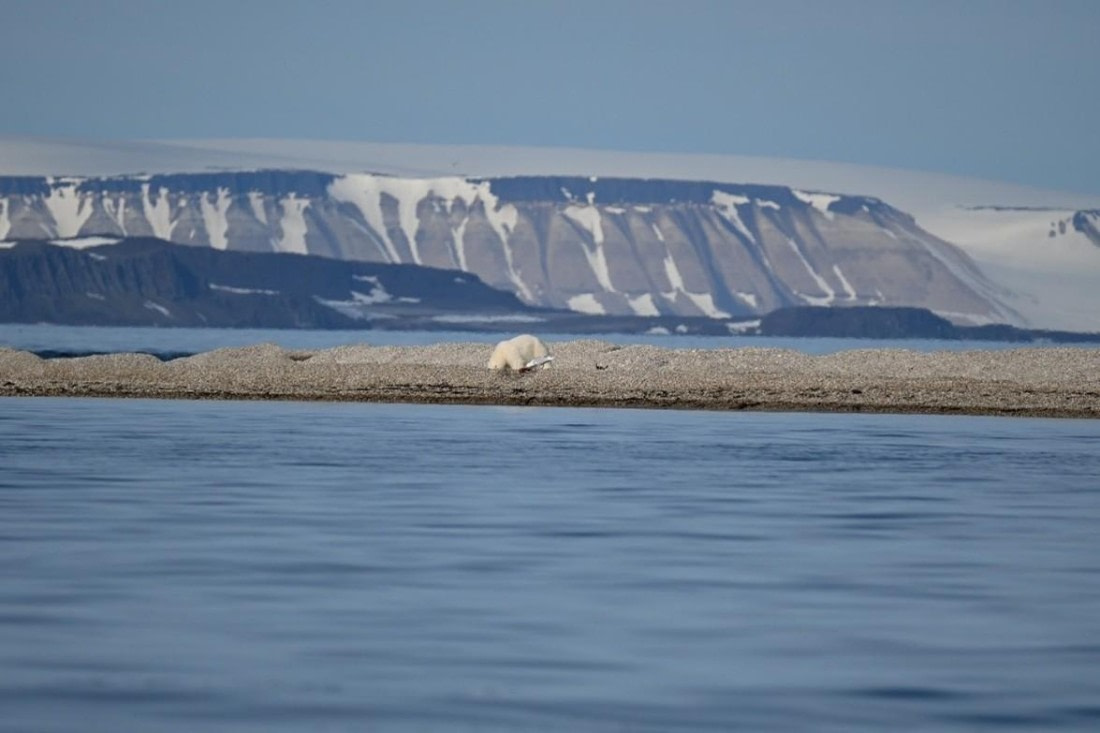 OTL07-25, Day 5, Picture13 © Unknown photographer - Oceanwide Expeditions.jpg