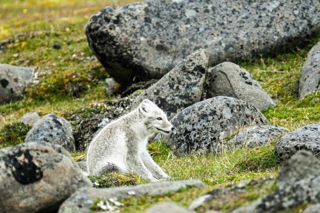OTL07-25, Day 6, Picture17 © Unknown photographer - Oceanwide Expeditions.jpg