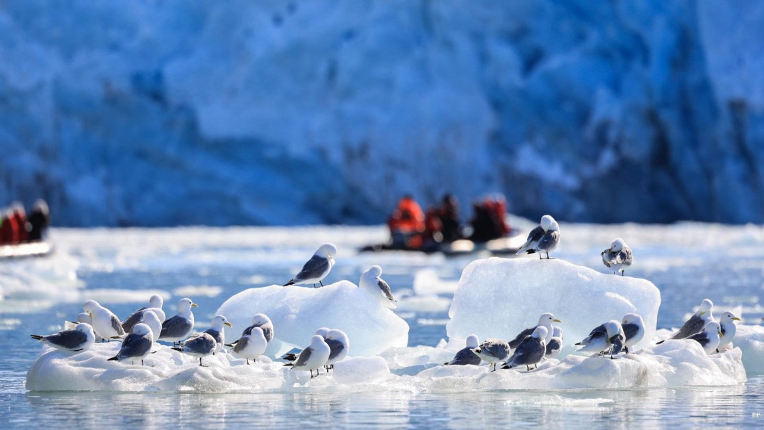 OTL08-25, Day 2, 5A8A4122 © Unknown photographer - Oceanwide Expeditions.jpg