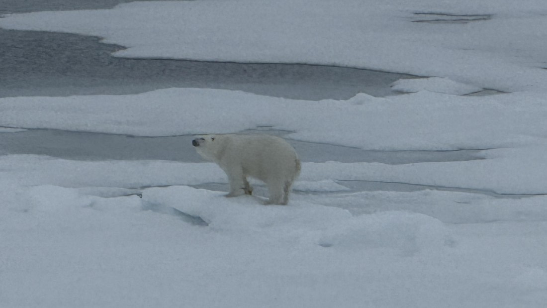 OTL08-25, Day 4, IMG_8481 © Unknown photographer - Oceanwide Expeditions.jpg