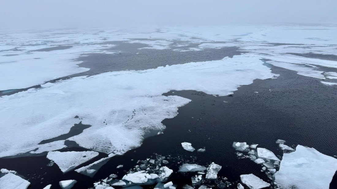 OTL08-25, Day 4, Picture7 © Unknown photographer - Oceanwide Expeditions.jpg