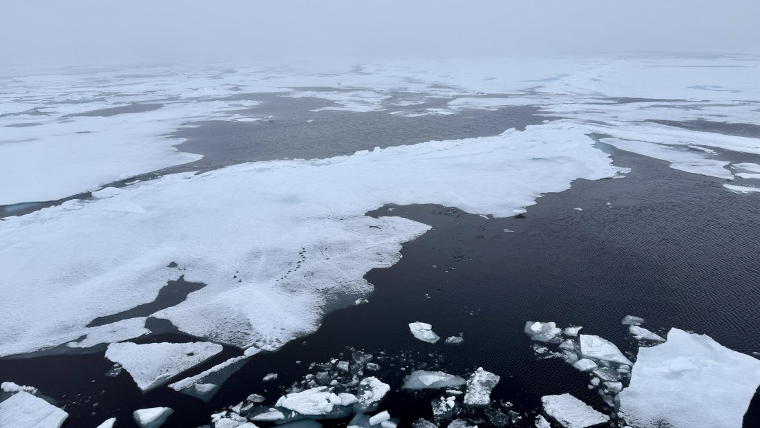 OTL08-25, Day 4, IMG_8484 © Unknown photographer - Oceanwide Expeditions.jpg