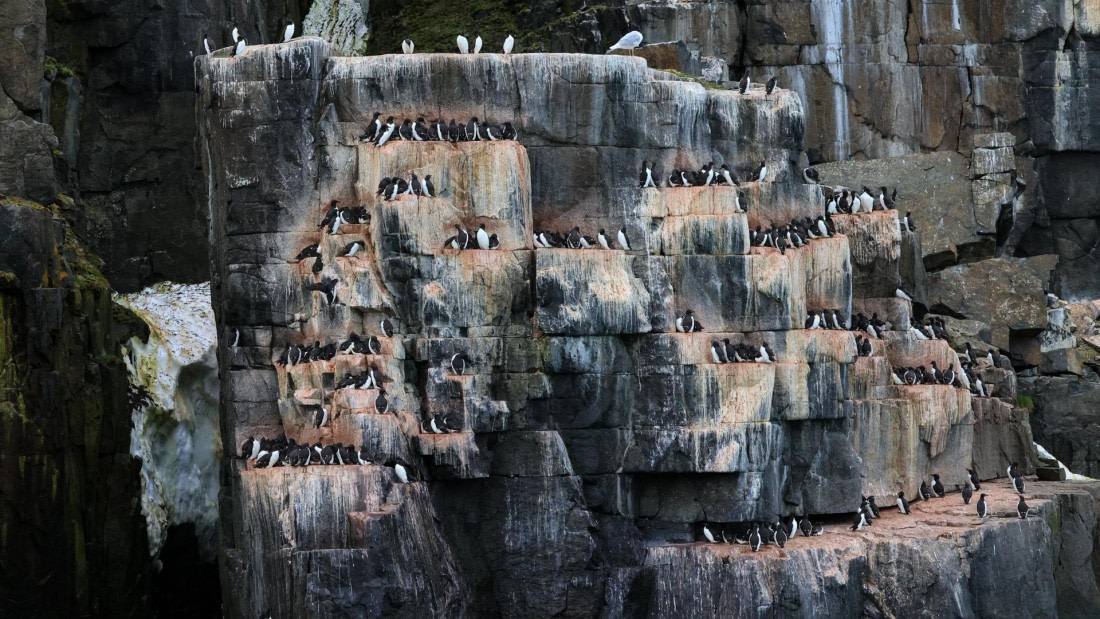 OTL08-25, Day 6, 5A8A5325 © Unknown photographer - Oceanwide Expeditions.jpg