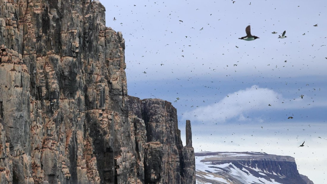 OTL08-25, Day 6, 5A8A5452-Edit © Unknown photographer - Oceanwide Expeditions.jpg