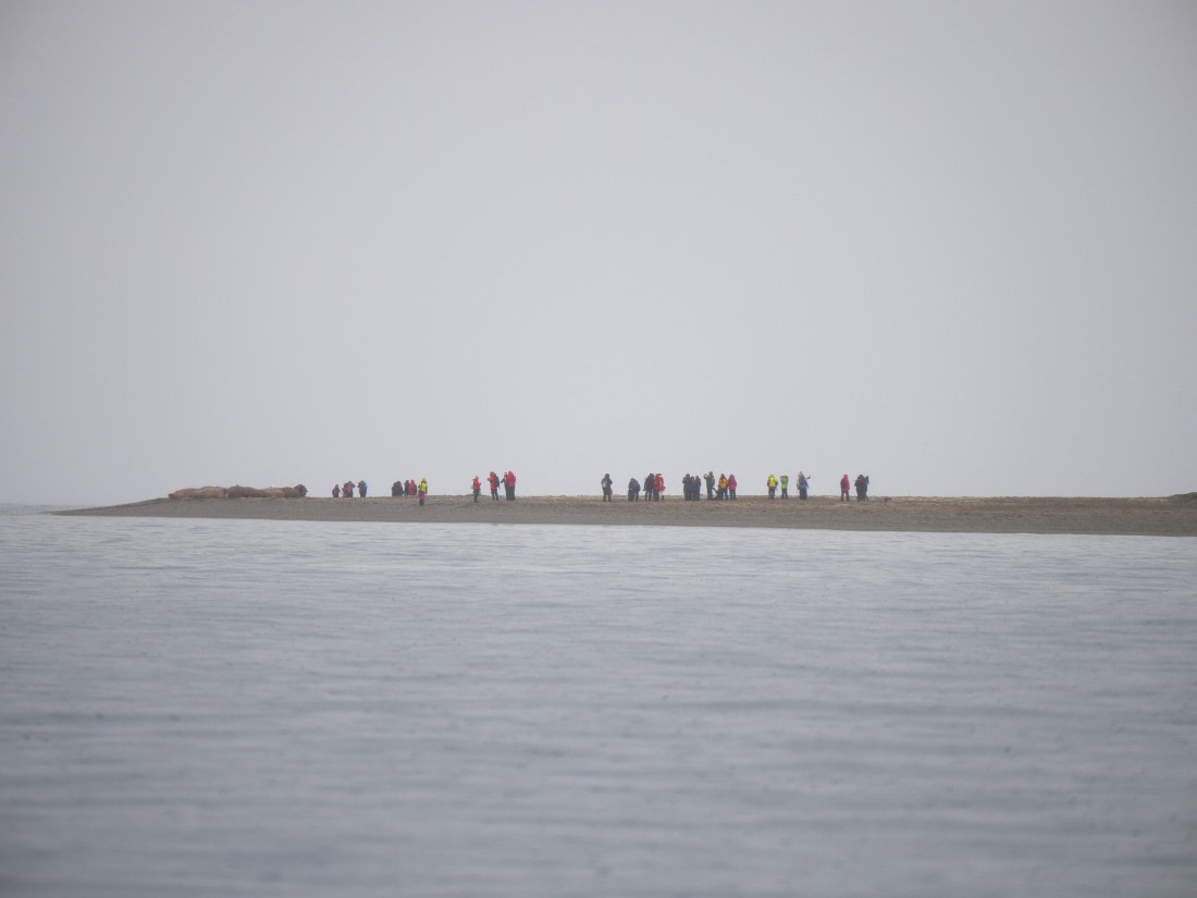 OTL08-25, Day 9, P1140779 © Unknown photographer - Oceanwide Expeditions.JPG