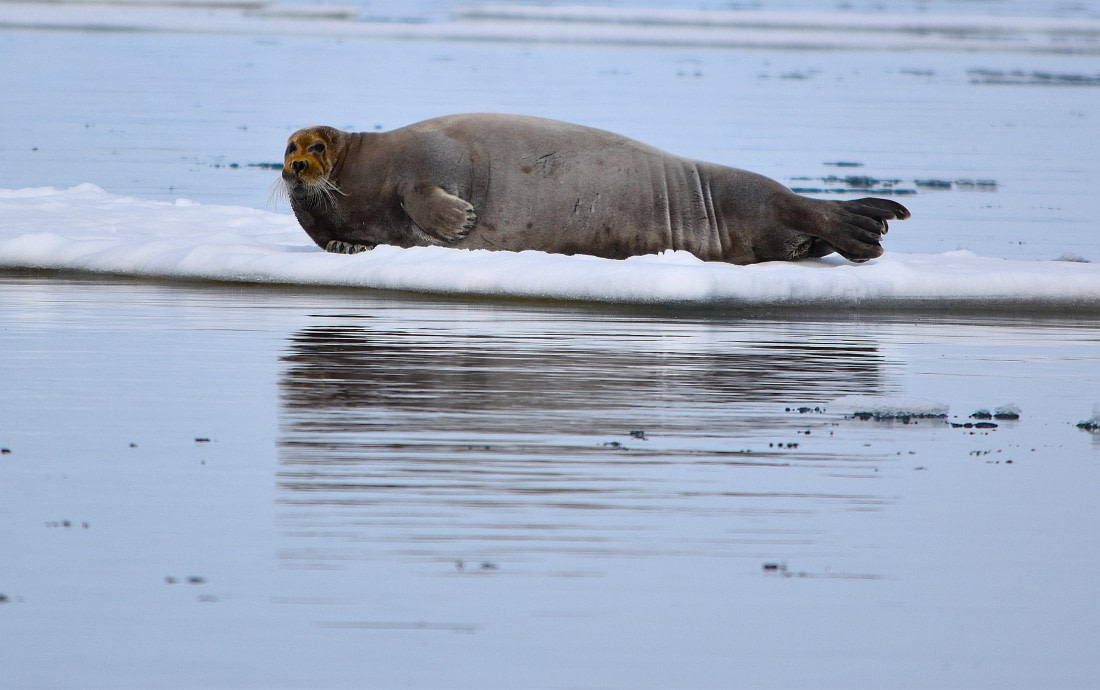 being cute is my strength