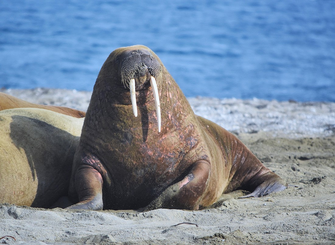 I notice you noticing me