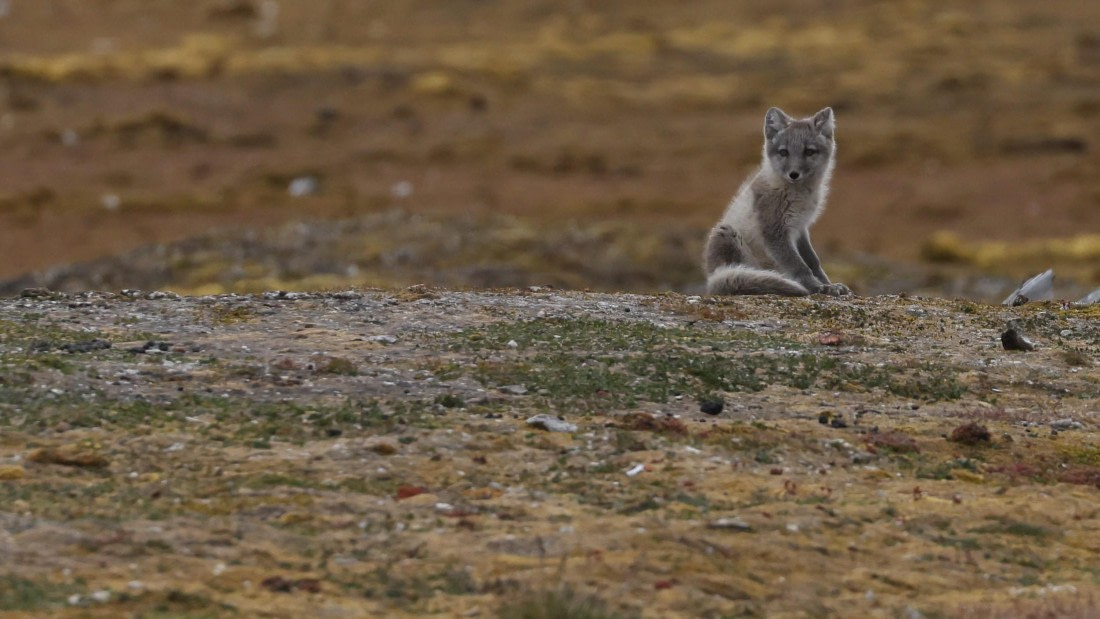 PLA09-25, Day 2, (9) © Regis Perdriat - Oceanwide Expeditions.jpg