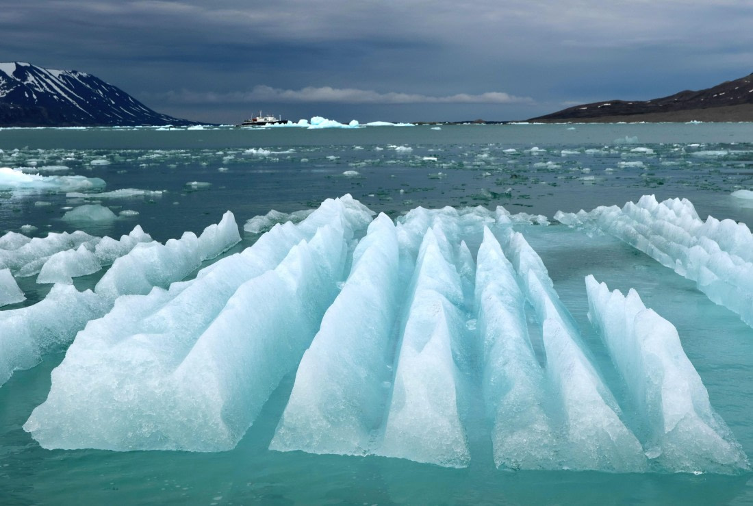 PLA09-25, Day 3, Lars 28-8 © Lars Engelhardt - Oceanwide Expeditions.JPG