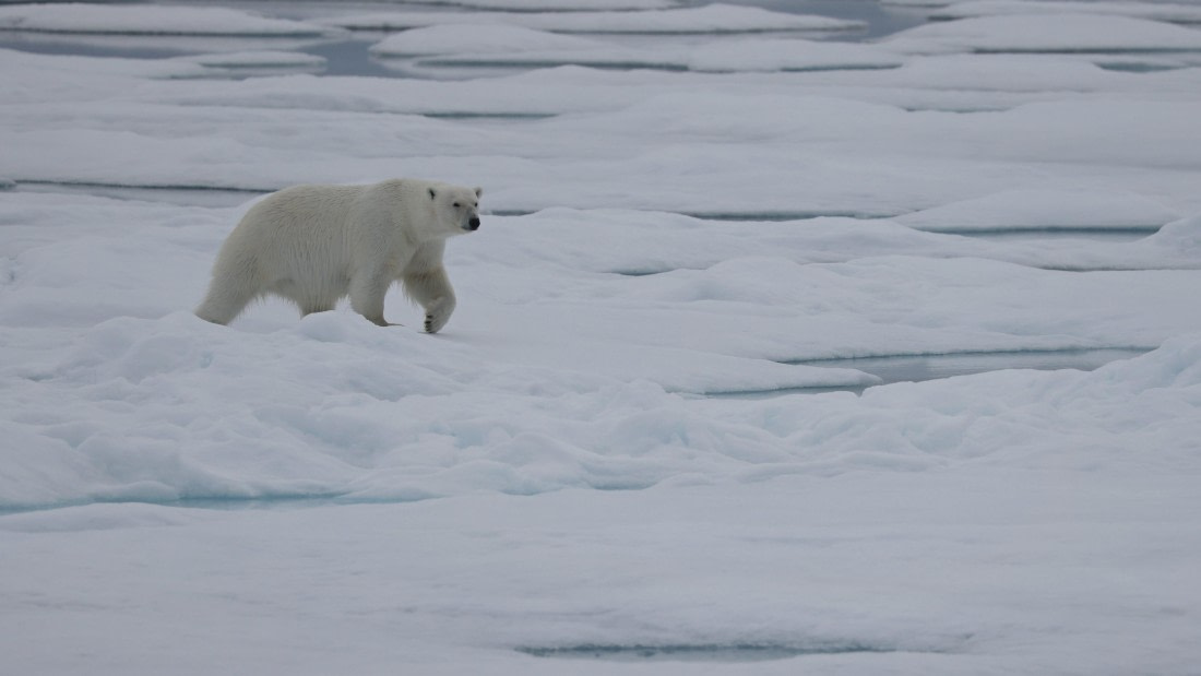 PLA09-25, Day 4, (6) © Regis Perdriat - Oceanwide Expeditions.jpg