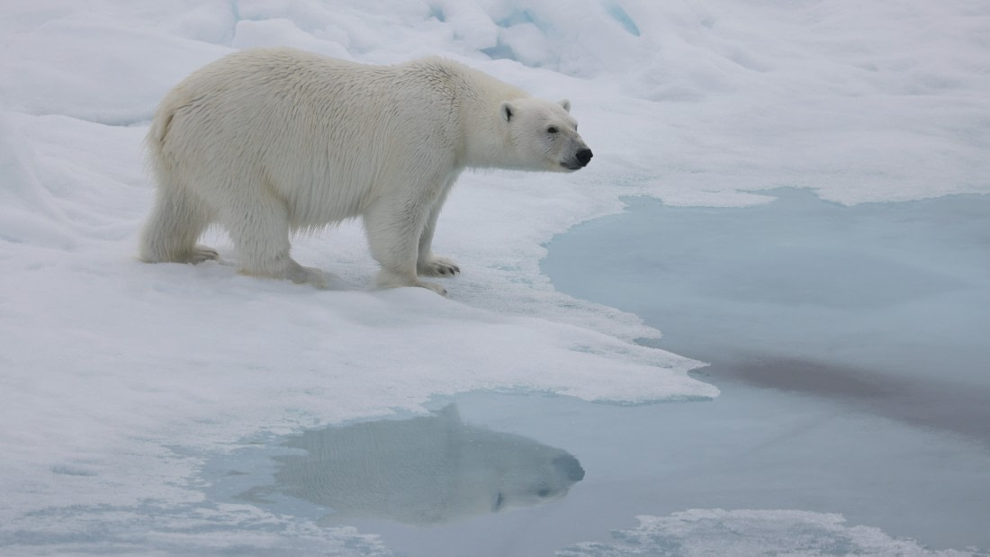 PLA09-25, Day 4, (10) © Regis Perdriat - Oceanwide Expeditions.jpg