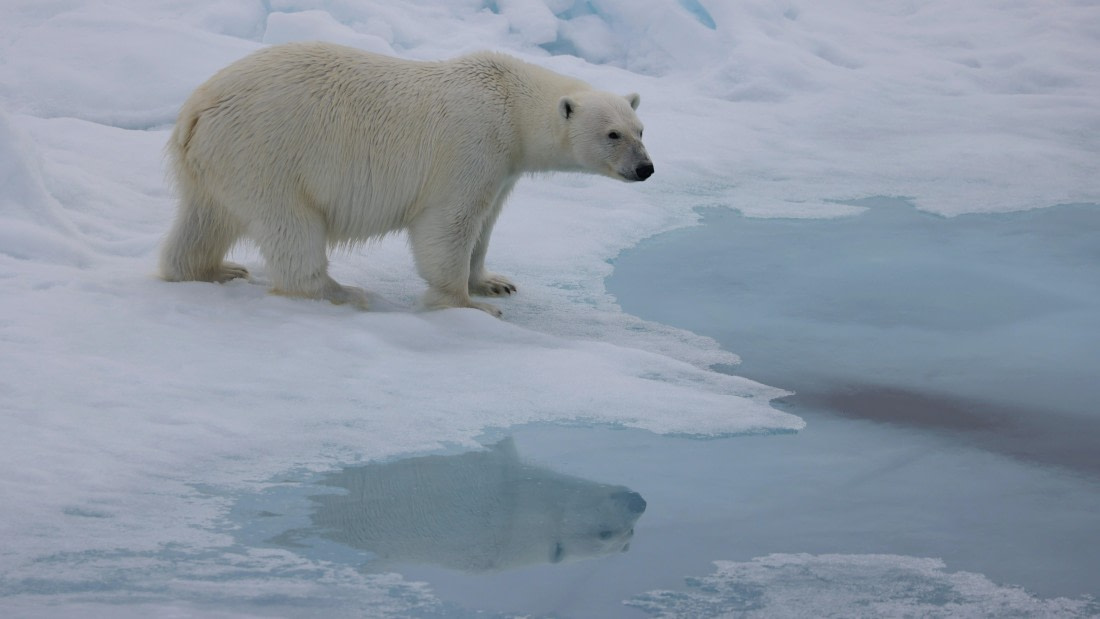PLA09-25, Day 4, (9) © Regis Perdriat - Oceanwide Expeditions.jpg