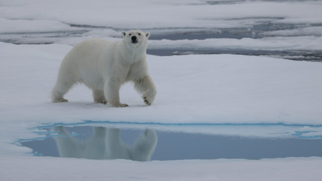 PLA09-25, Day 4, (13) © Regis Perdriat - Oceanwide Expeditions.jpg