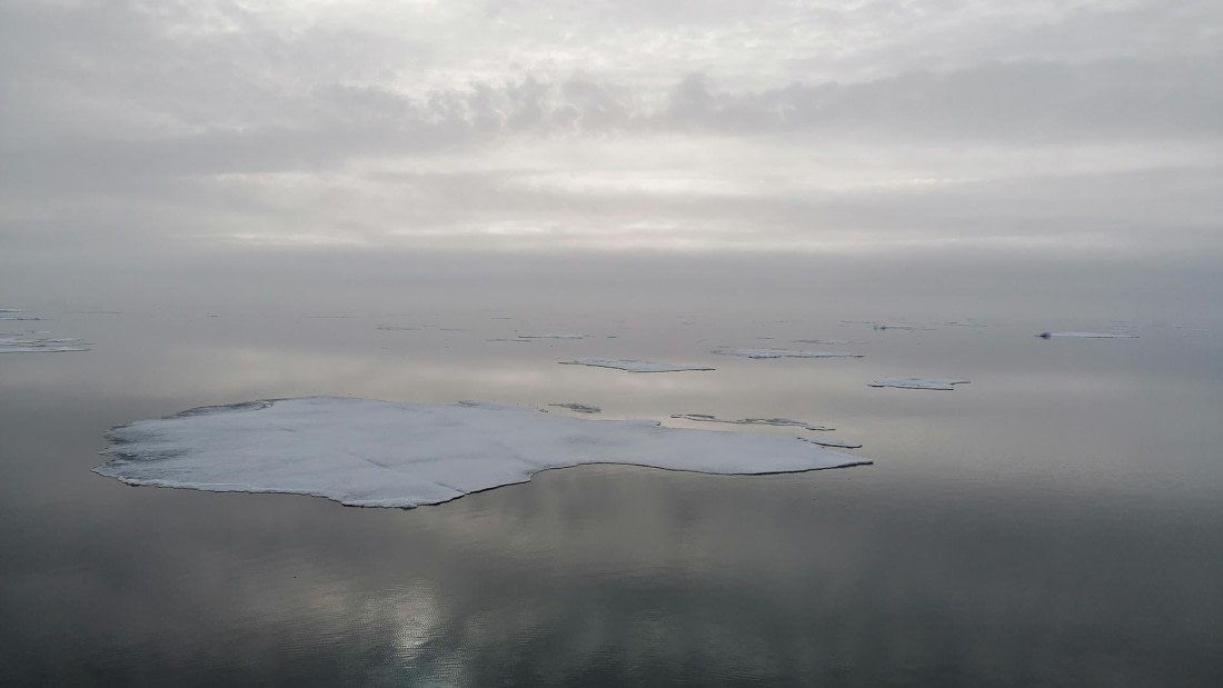 PLA09-25, Day 4, 29.07.2025_1_JW © Julia Wellner - Oceanwide Expeditions.jpg