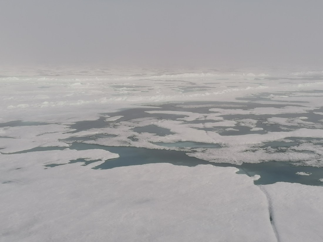 PLA09-25, Day 4, 29.07.2025_2_JW © Julia Wellner - Oceanwide Expeditions.jpg