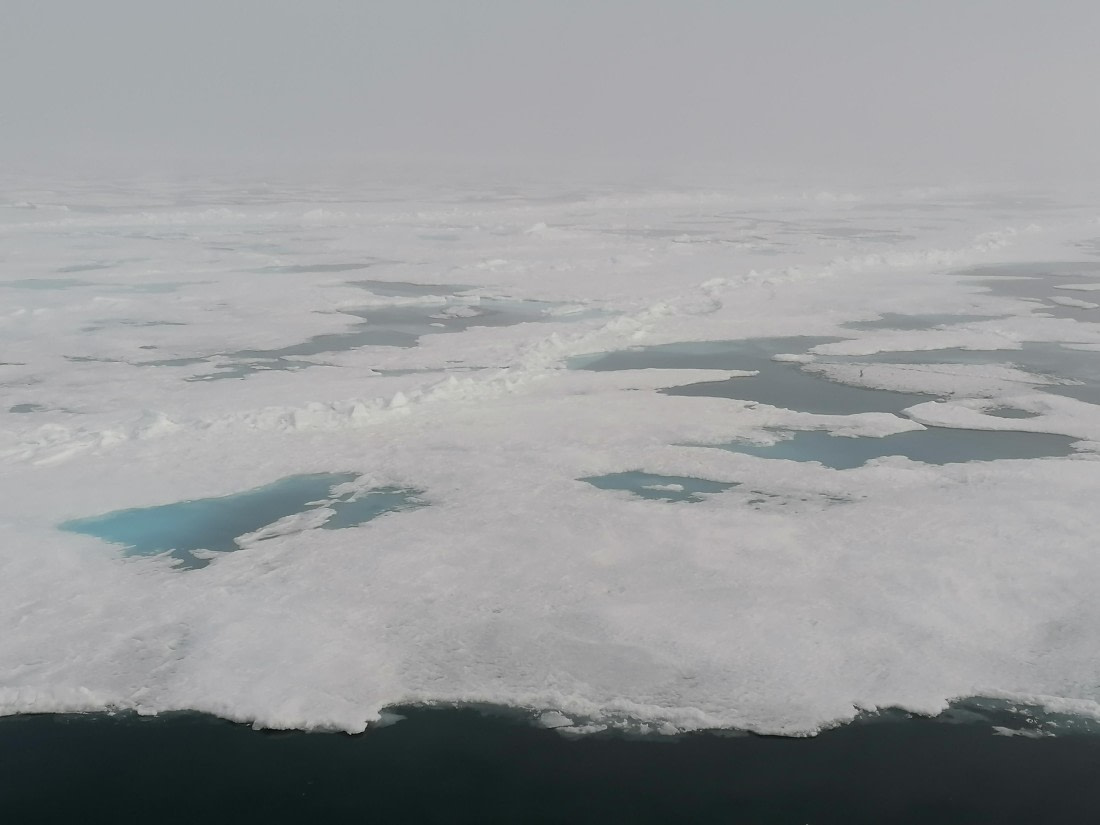 PLA09-25, Day 4, 29.07.2025_3_JW © Julia Wellner - Oceanwide Expeditions.jpg