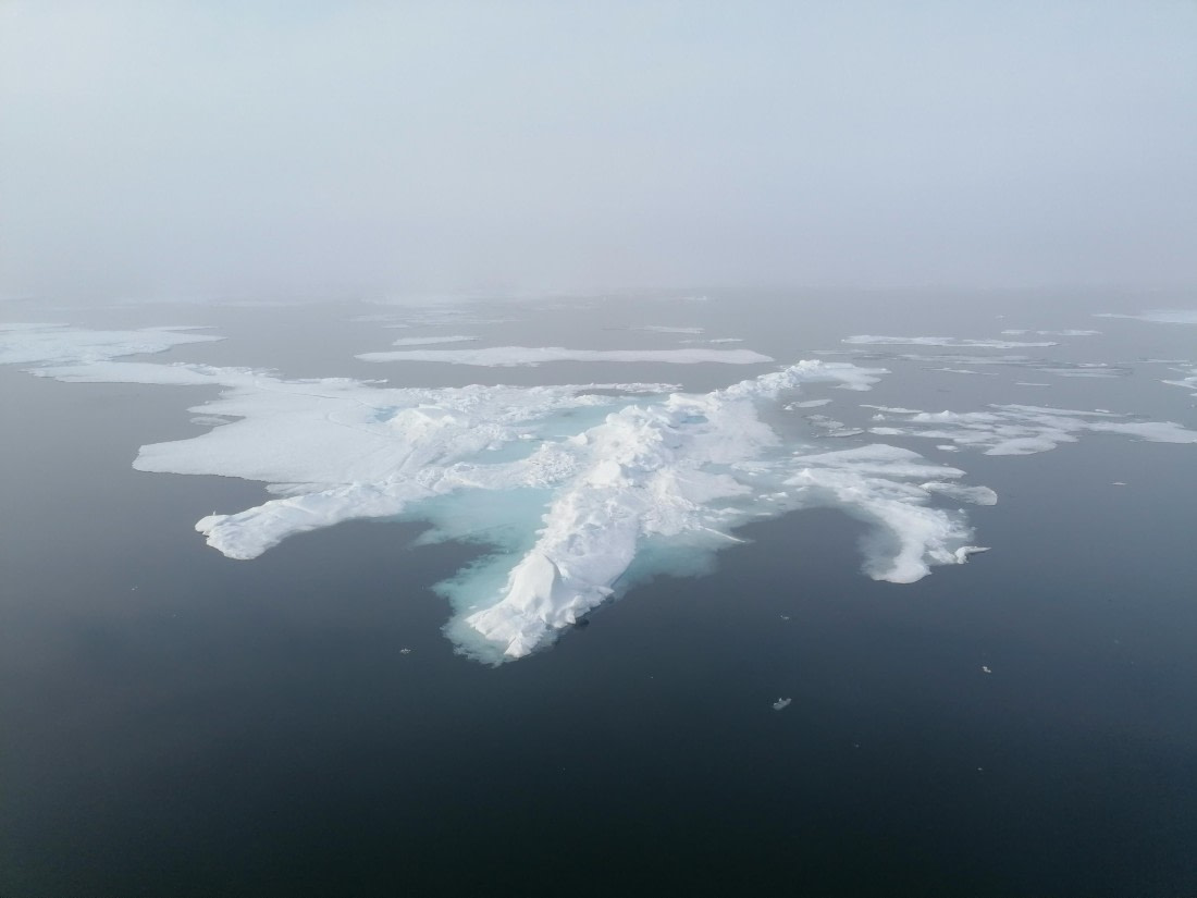 PLA09-25, Day 4, 29.07.2025_4_JW © Julia Wellner - Oceanwide Expeditions.jpg