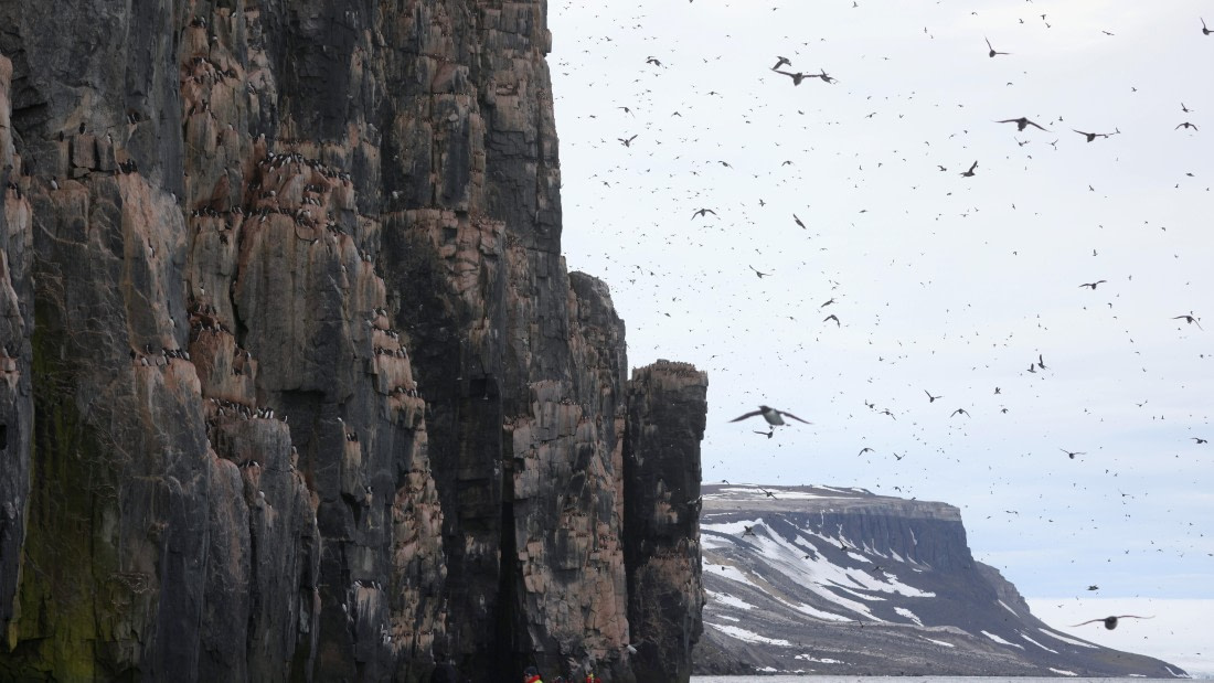 PLA09-25, Day 6, (9) © Regis Perdriat - Oceanwide Expeditions.jpg
