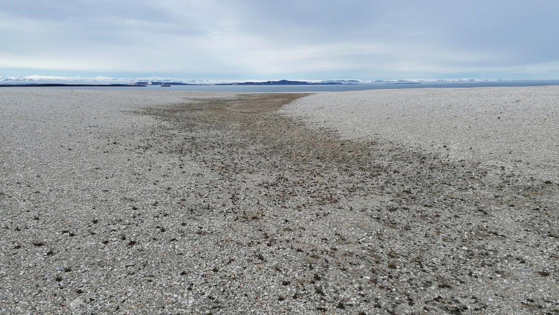 PLA09-25, Day 6, 31.07.2025_2_JW. © Julia Wellner - Oceanwide Expeditions.jpg