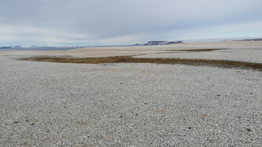 PLA09-25, Day 6, 31.07.2025_3_JW. © Julia Wellner - Oceanwide Expeditions.jpg