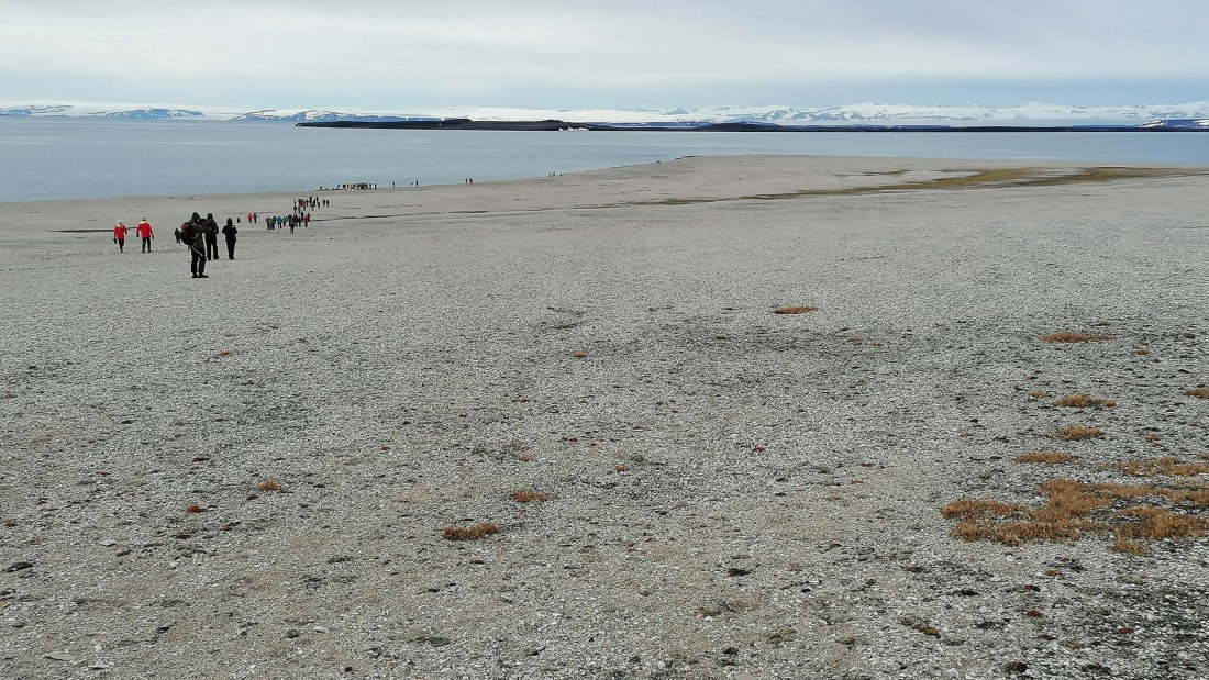 PLA09-25, Day 6, 31.07.2025_9_JW. © Julia Wellner - Oceanwide Expeditions.jpg