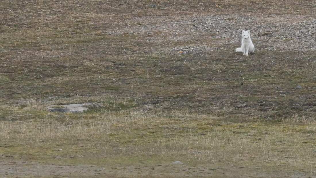 PLA09-25, Day 7, (9) © Regis Perdriat - Oceanwide Expeditions.jpg