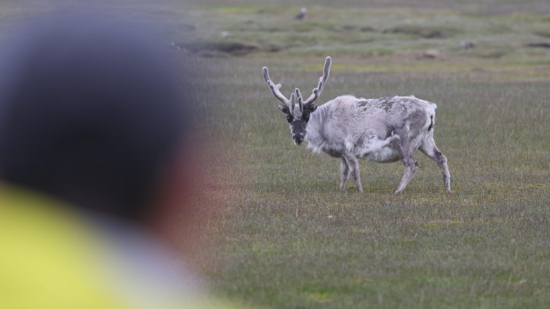 PLA09-25, Day 7, (15) © Regis Perdriat - Oceanwide Expeditions.jpg