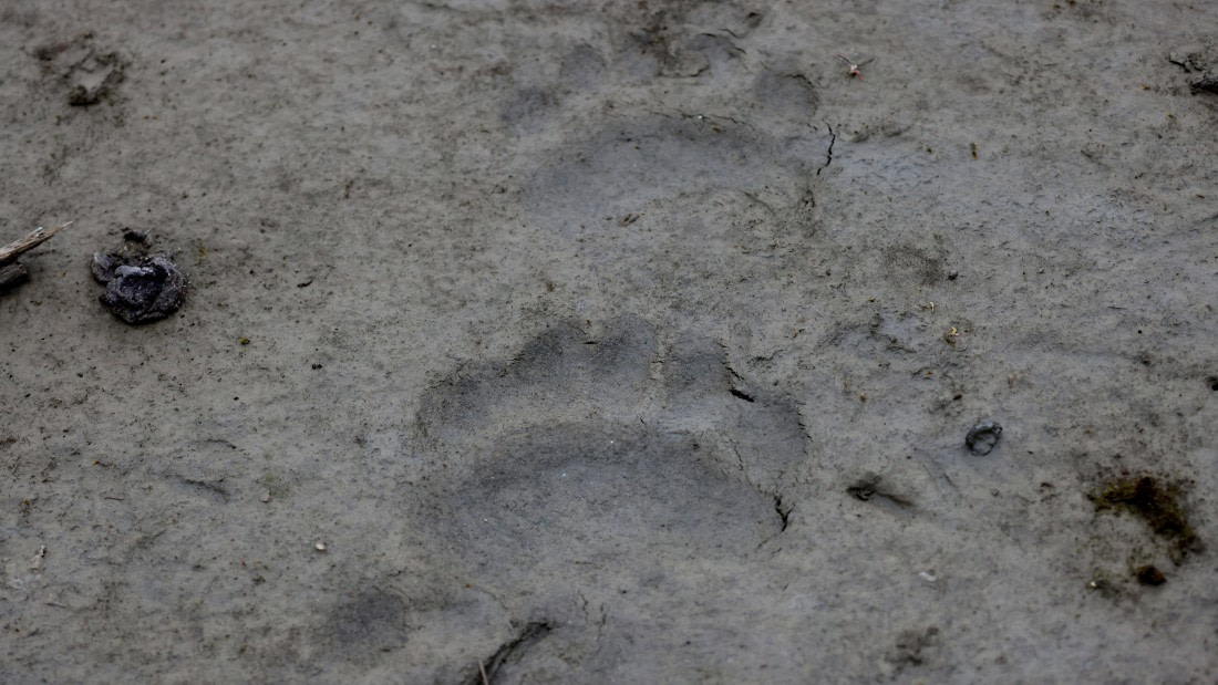 PLA09-25, Day 8, (10) © Regis Perdriat - Oceanwide Expeditions.jpg