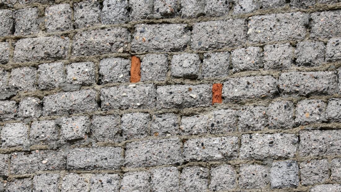 PLA09-25, Day 9, (7) © Regis Perdriat - Oceanwide Expeditions.jpg