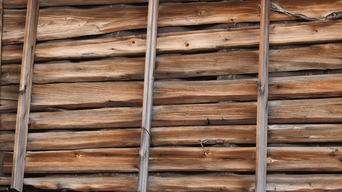 PLA09-25, Day 9, (8) © Regis Perdriat - Oceanwide Expeditions.jpg