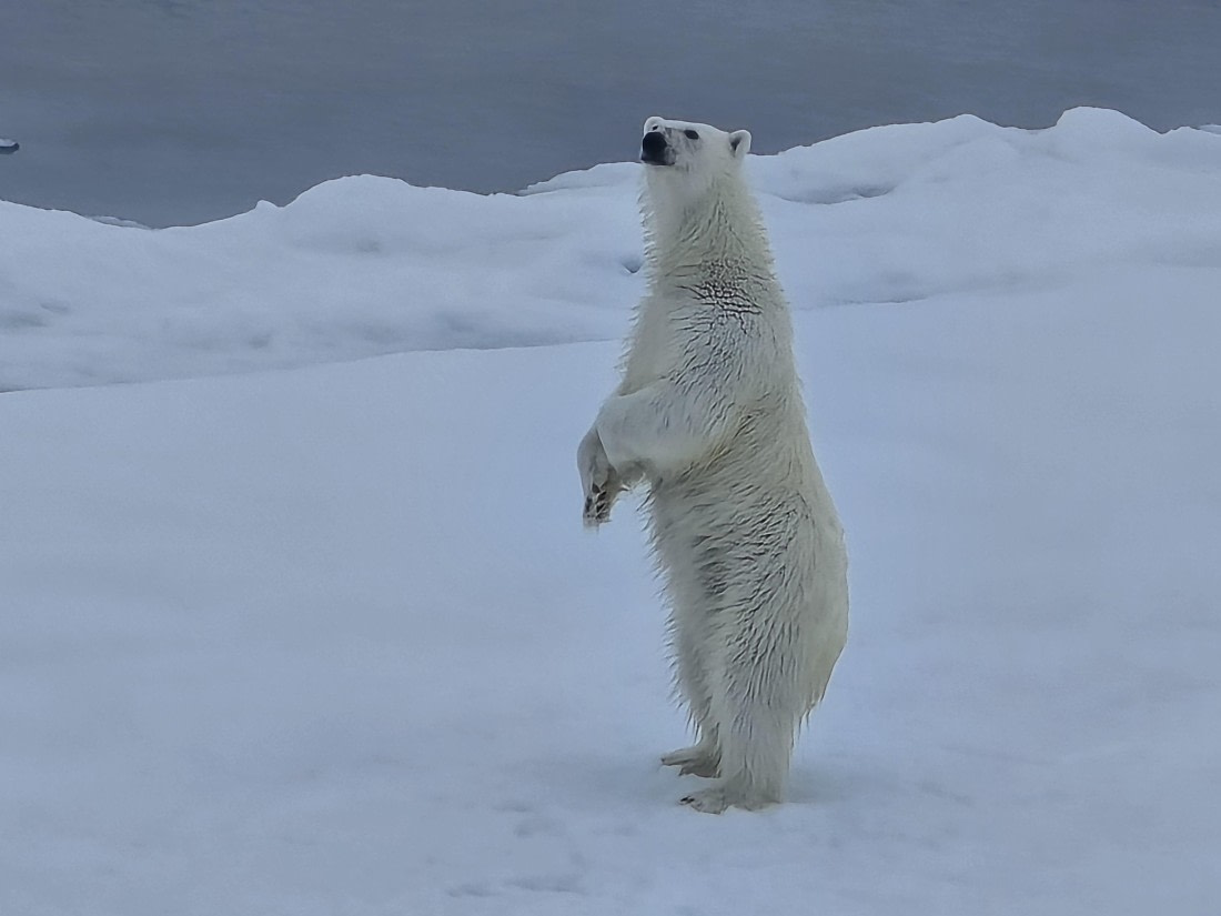 standing up, we see further