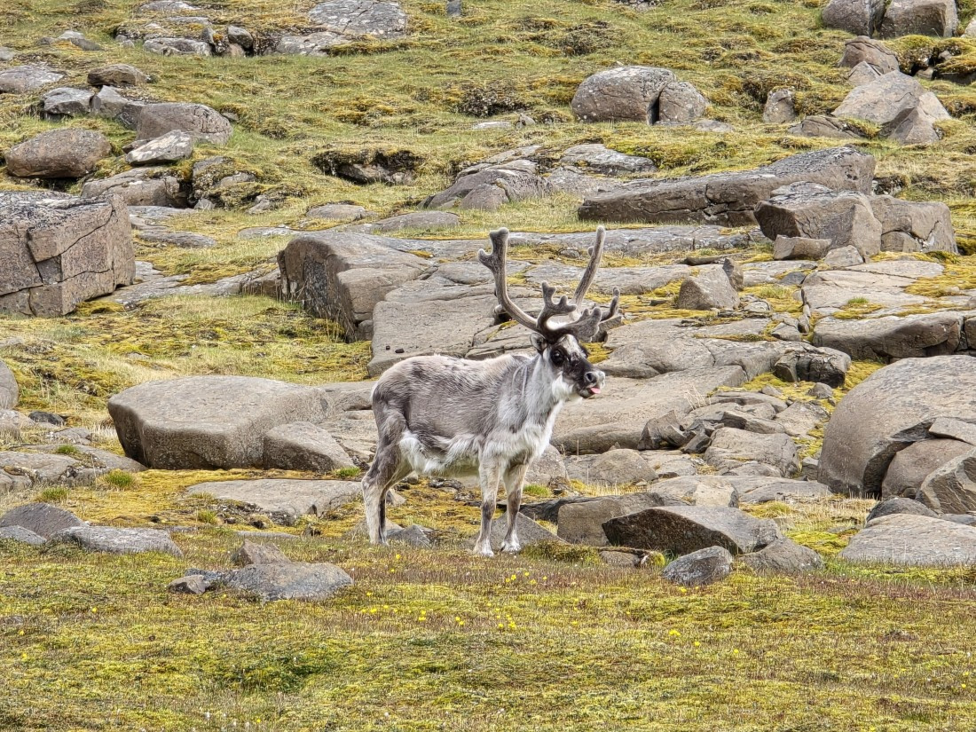 a little grimace for the picture