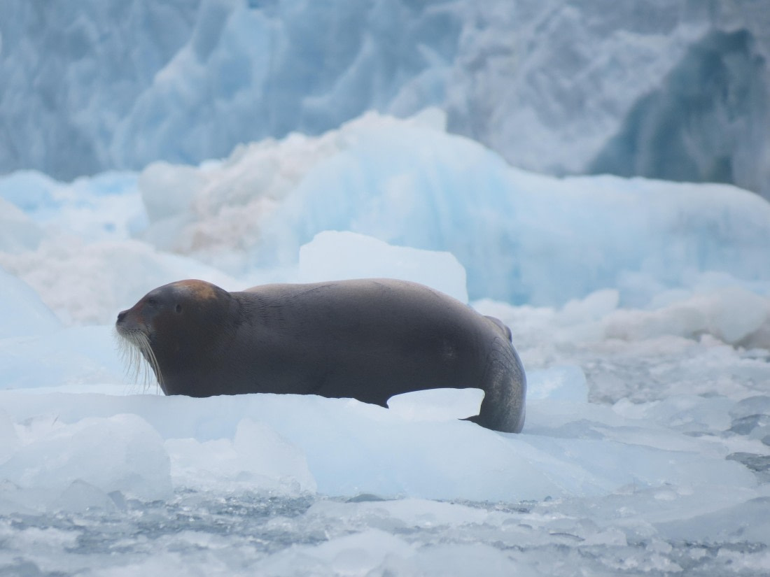 feeling good alone on the ice!