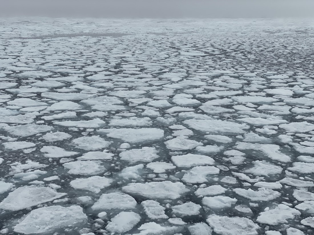 OTL09-25, Day 4, Pack Ice1 02-Aug-2025 © Unknown photographer - Oceanwide Expeditions.JPG