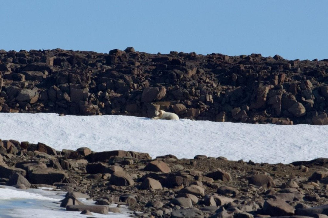 OTL09-25, Day 6, Picture8 © Unknown photographer - Oceanwide Expeditions.jpg