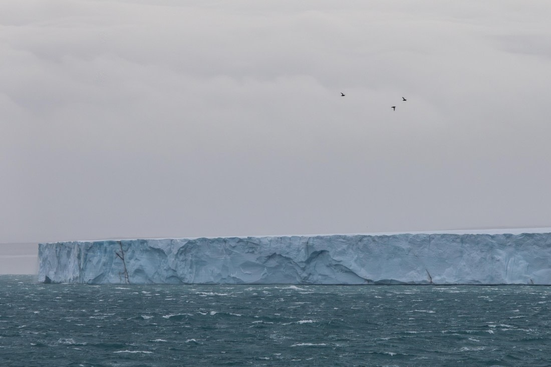 HDS10-25, Day 6, 5D5A1906 © Unknown photographer - Oceanwide Expeditions.jpg