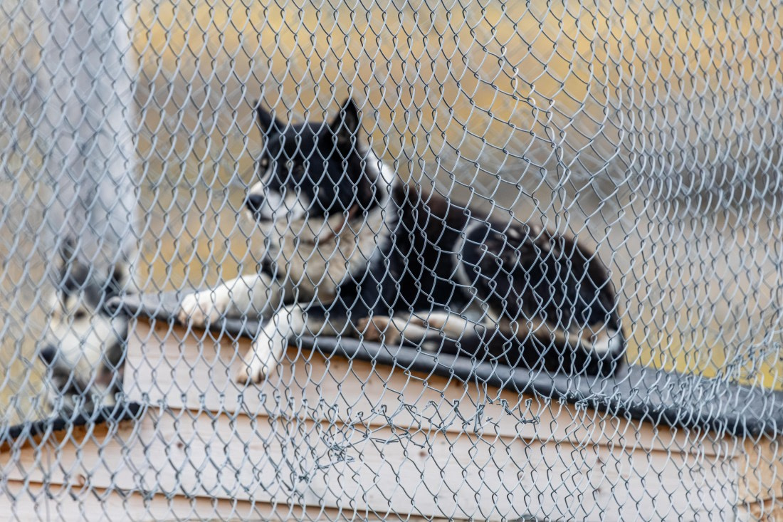 HDS10-25, Day 2, 5D5A1525 © Unknown photographer - Oceanwide Expeditions.jpg